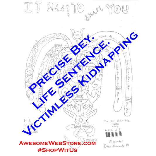 Precise Bey Life Sentence. It Was Meant To Shape You cover image