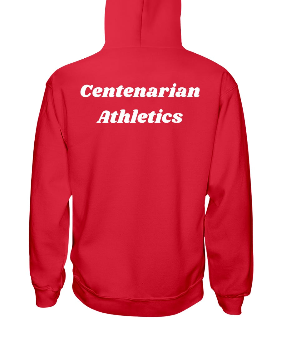 029fa57cded89fa84a94257277b80d6efc0fb308293a1f514f37580aa592553a