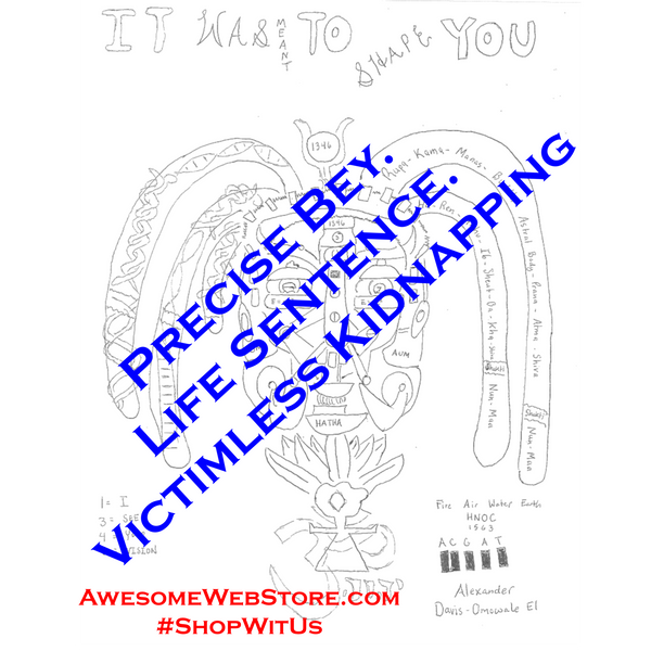 Feds Unlawfully Convict Man for Kidnapping WITH No Victim. 20211209 Precise Bey. #ItWasMeantToShapeYou: Life Sentence. Wrongfully Accused. Justice Reform.